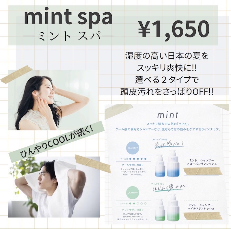 ミントスパ登場