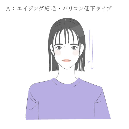 髪質診断イメージ：やわらか・乾燥タイプ