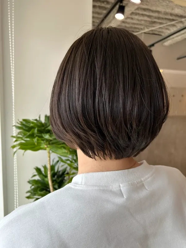 ボブ